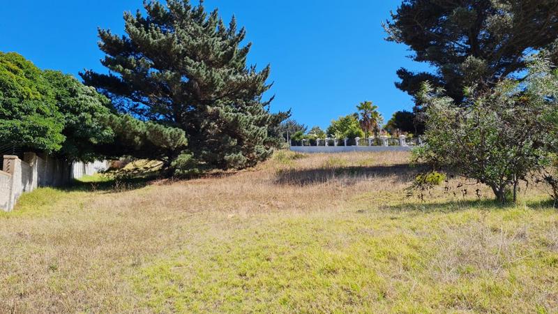 0 Bedroom Property for Sale in Oude Westhof Western Cape